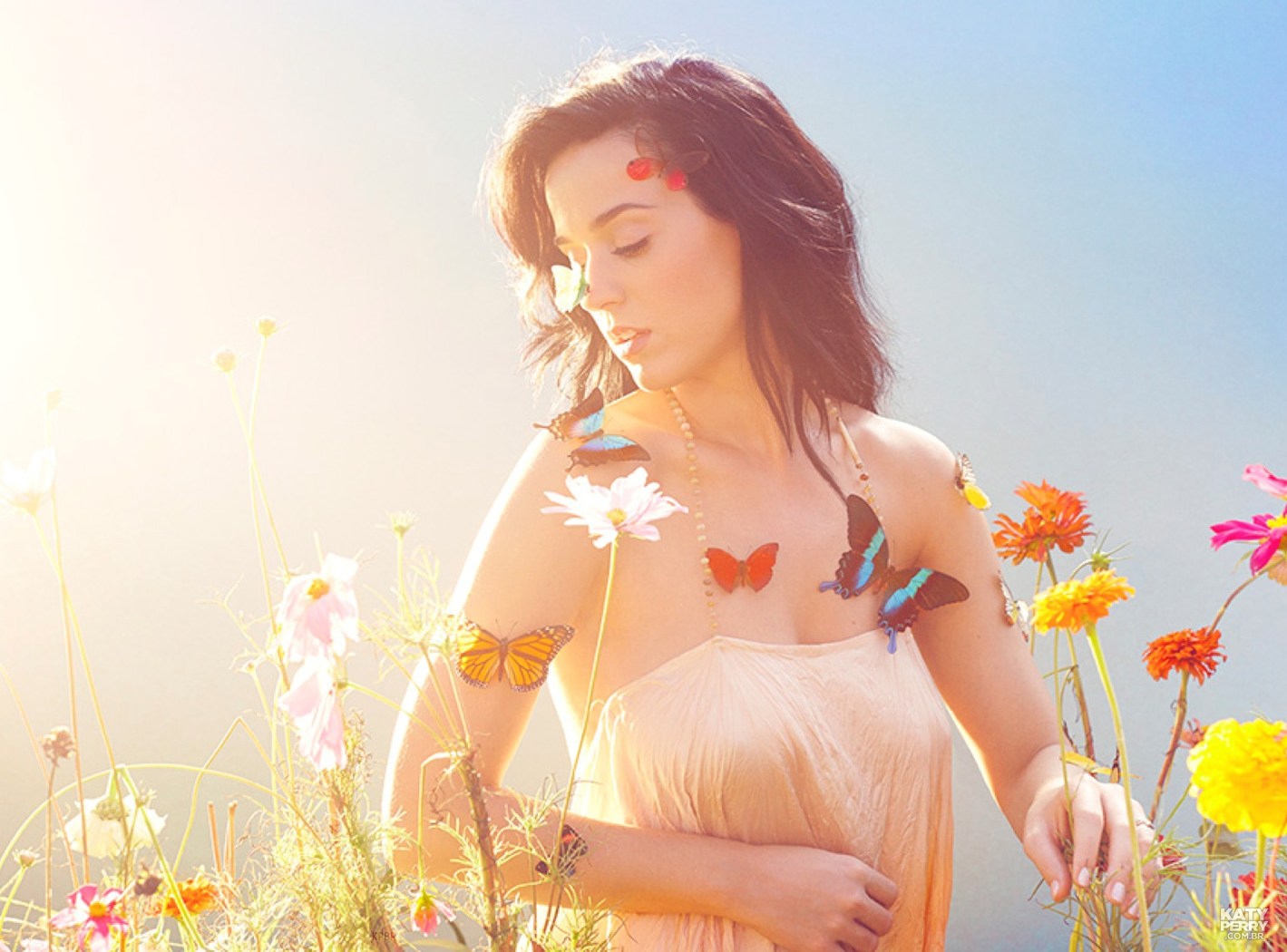 Katy Perry Prism high quality promo photo new CD insert image 6