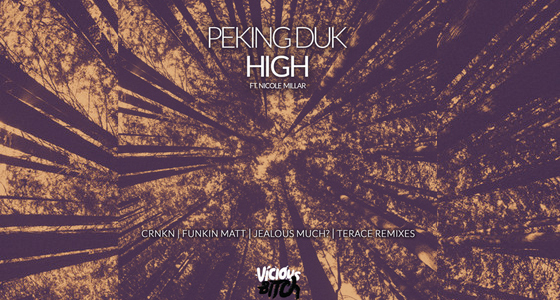 Remix Package: Peking Duk – High (5 Official Remixes)