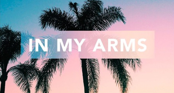 Discover: Kav Verhouzer & Palm Trees – In My Arms