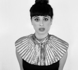 Discover + Download: Foxes