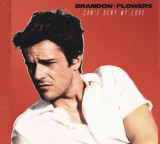 First Listen: Brandon Flowers – Can’t Deny My Love